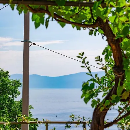 Apartman Apartman Domani *